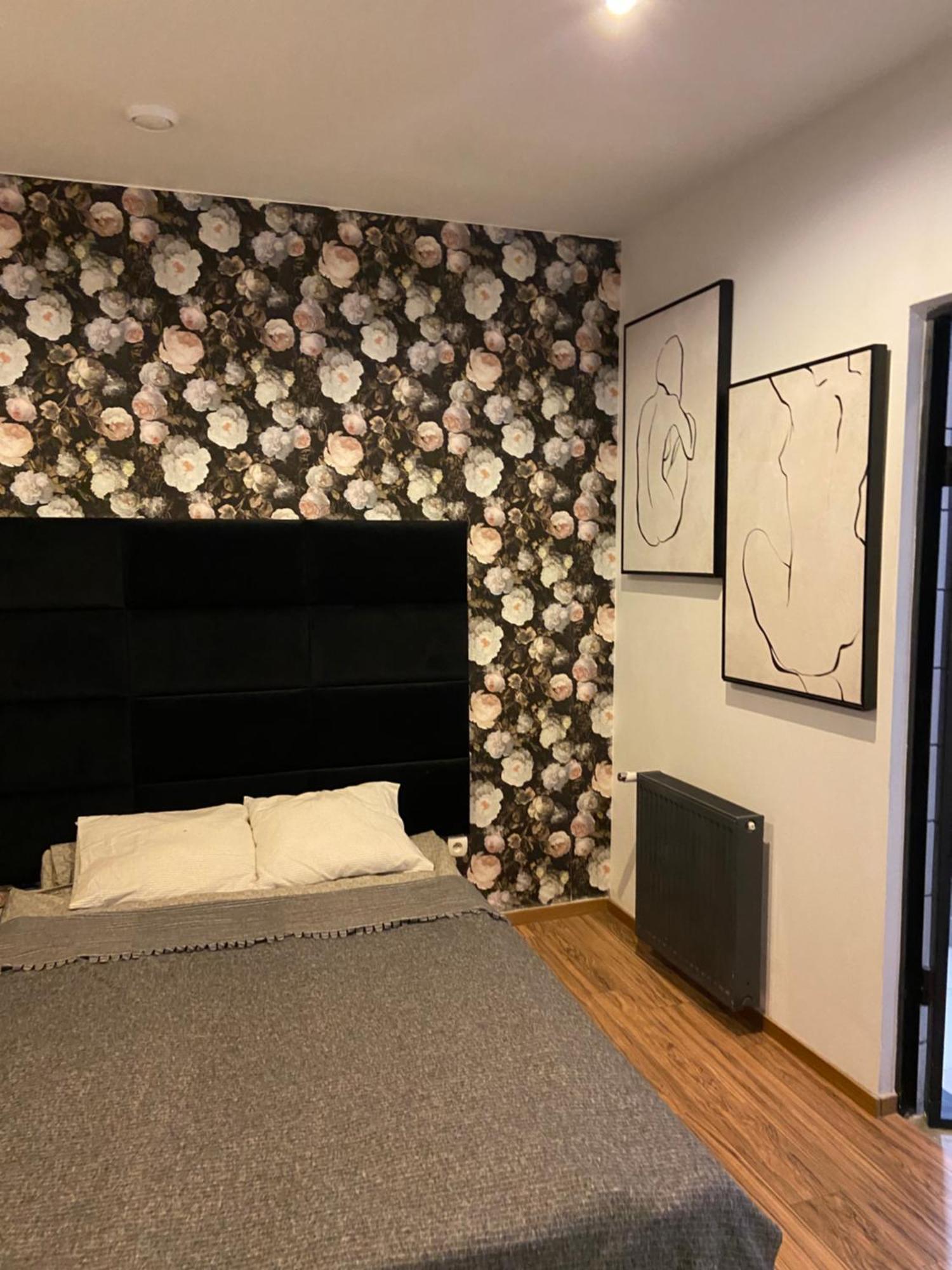 Apartament Gold 3 زواتورويا المظهر الخارجي الصورة